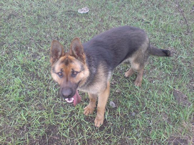 Николай Емец фотография #5