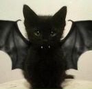 Фотография Дегтярёва Славы