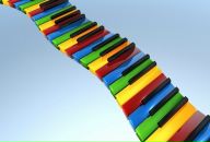 Фотография Alex Eva