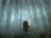 Фотография Тимофеевой Полины