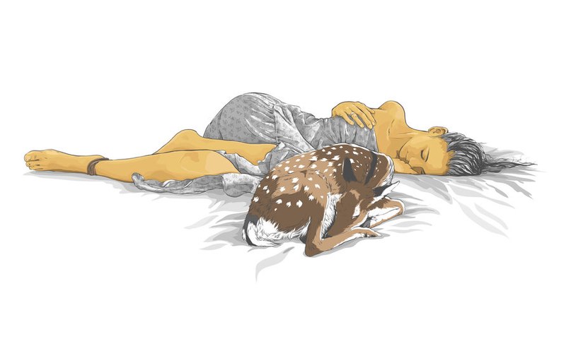 Solar Queen фотография #41