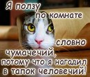 Андрій Сахарчук фотография #39 (источник - https://vk.com/id153379421)