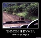 Ігор Стеник фотография #7 (источник - https://vk.com/id23963748)