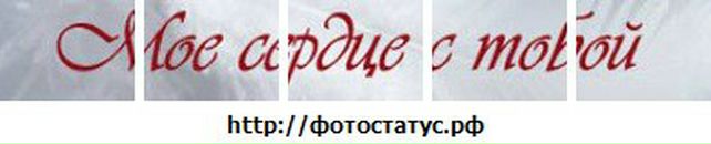 Софья Романенко фотография #22 (источник - https://vk.com/id10241677)