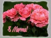 Фотография Рябинина Юры