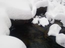 Анатолій Шведик фотография #46 (источник - https://vk.com/id153085149)