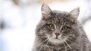 Фотография Юлии Юлии