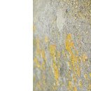 Іра Іруся фотография #4 (источник - https://vk.com/id30112160)