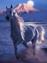 Οлеся Κудрявцева фотография #44 (источник - https://vk.com/id169427654)