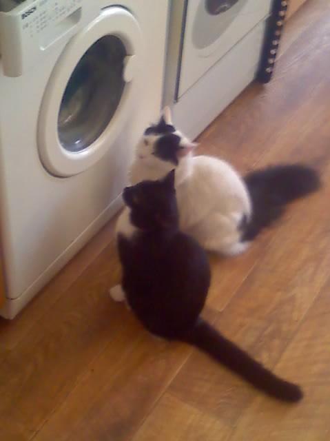 Антон Чучалин фотография #14