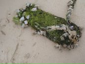 Владимир Сетунькин фотография #2 (источник - https://vk.com/id2589656)