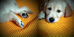 Діма Шевчук фотография #32 (источник - https://vk.com/id42200010)