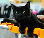 Фотография Сизовой Елены