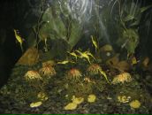 Назар Двуліт фотография #48 (источник - https://vk.com/id9731008)