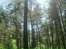 Рітулька Сницар фотография #18 (источник - https://vk.com/id156392622)