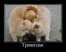 Віталій Якименко фотография #49 (источник - https://vk.com/id42744866)