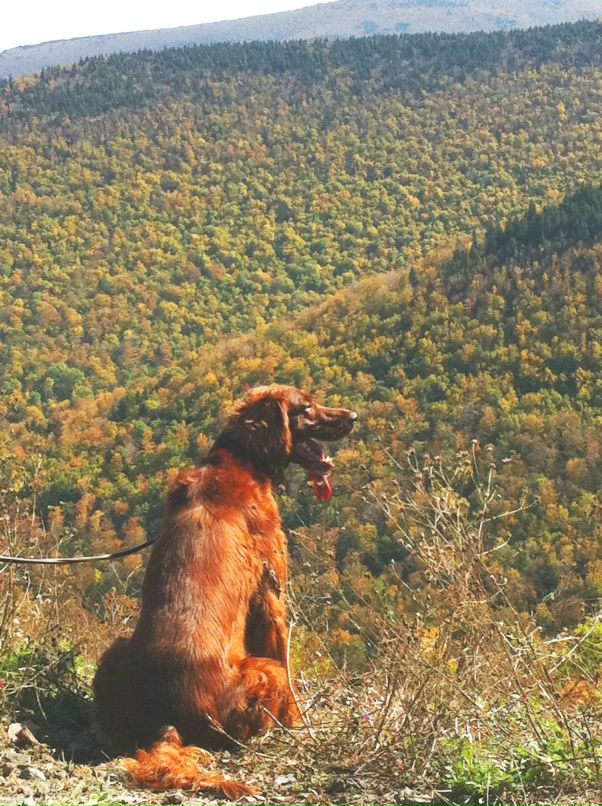 Yes Man фотография #25