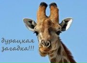 Фотография Suvorova Дашуты