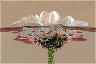 Фотография Чистяковой Юлии