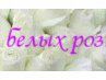 Вікторія Микуляк фотография #9 (источник - https://vk.com/id72247868)