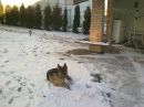 Ніколь Мельник фотография #1