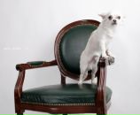 Фотография Buff Antonio