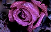 Юлія Кузьмич фотография #37 (источник - https://vk.com/id49447106)