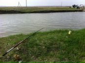 Tyler Durden фотография #39 (источник - https://vk.com/id1041710)