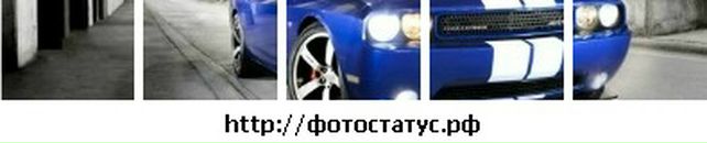 Саша Кіт фотография #13 (источник - https://vk.com/id87296016)