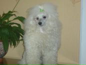 Фотография Кузьмичев Валера