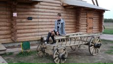 Фотография Смирновой Евгении