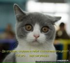 Фотография Пичугиной Елизаветы