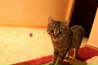 Фотография Фёдоровой Маши