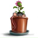 Zac Efron фотография #9 (источник - https://vk.com/id32622822)