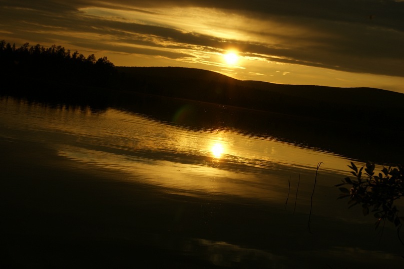 Денис Кошкин фотография #31