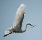 Фотография Смирновой Светланы