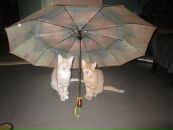 Фотография Быстрыгиной Наталии