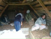 Фотография Федотовой Натальи