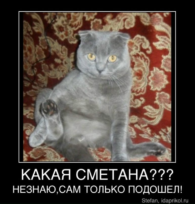 Александр Глазков фотография #28