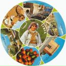 Aseel Trabelsi фотография #24 (источник - https://vk.com/id62636903)