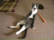 Фотография Кадырманова Александра