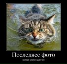 Тима Мороз фотография #8 (источник - https://vk.com/id249775)