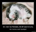 Тима Мороз фотография #7 (источник - https://vk.com/id249775)