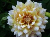 Іра Рудник фотография #31 (источник - https://vk.com/id214150905)