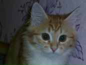 Фотография Бадиной Лидии