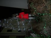 Іруся Дідик фотография #47 (источник - https://vk.com/id136240264)