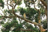 Кса На фотография #14 (источник - https://vk.com/id3671604)