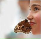 Анна Иванова фотография #31 (источник - https://vk.com/id1925160)