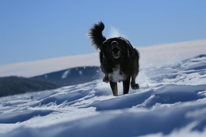 Тамара Воробьёва фотография #21