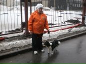 Фотография Богдановой Татьяны